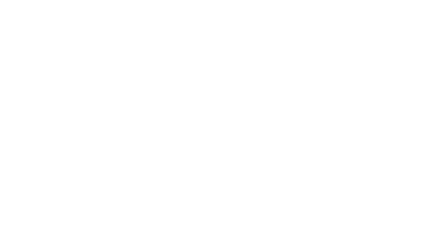 Logo van BAM