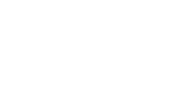 Logo van Vierstroom Zorg Thuis
