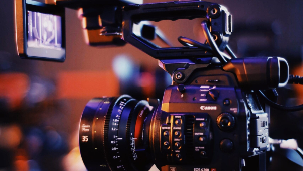 pexels-bruno-massao-2873486-scaled pexels-bruno-massao-2873486-scaled