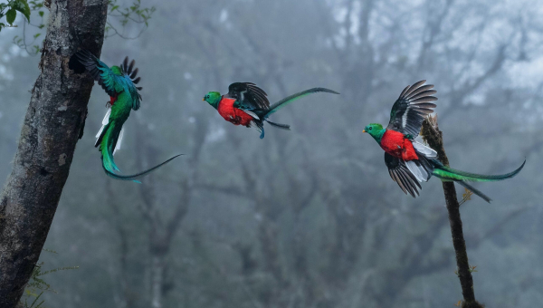 pexels-jonnathan-marin-16669454-1-scaled